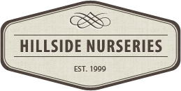 Hillside Nurseries